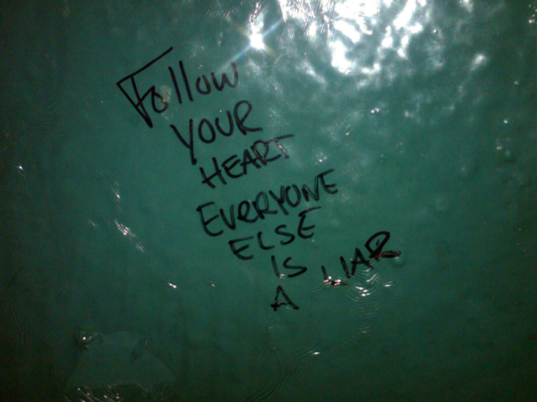 Follow Your Heart Everyone Else is a Liar