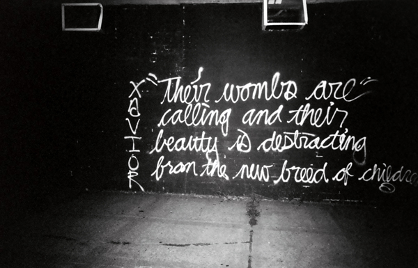 Their Beauty is Destracting